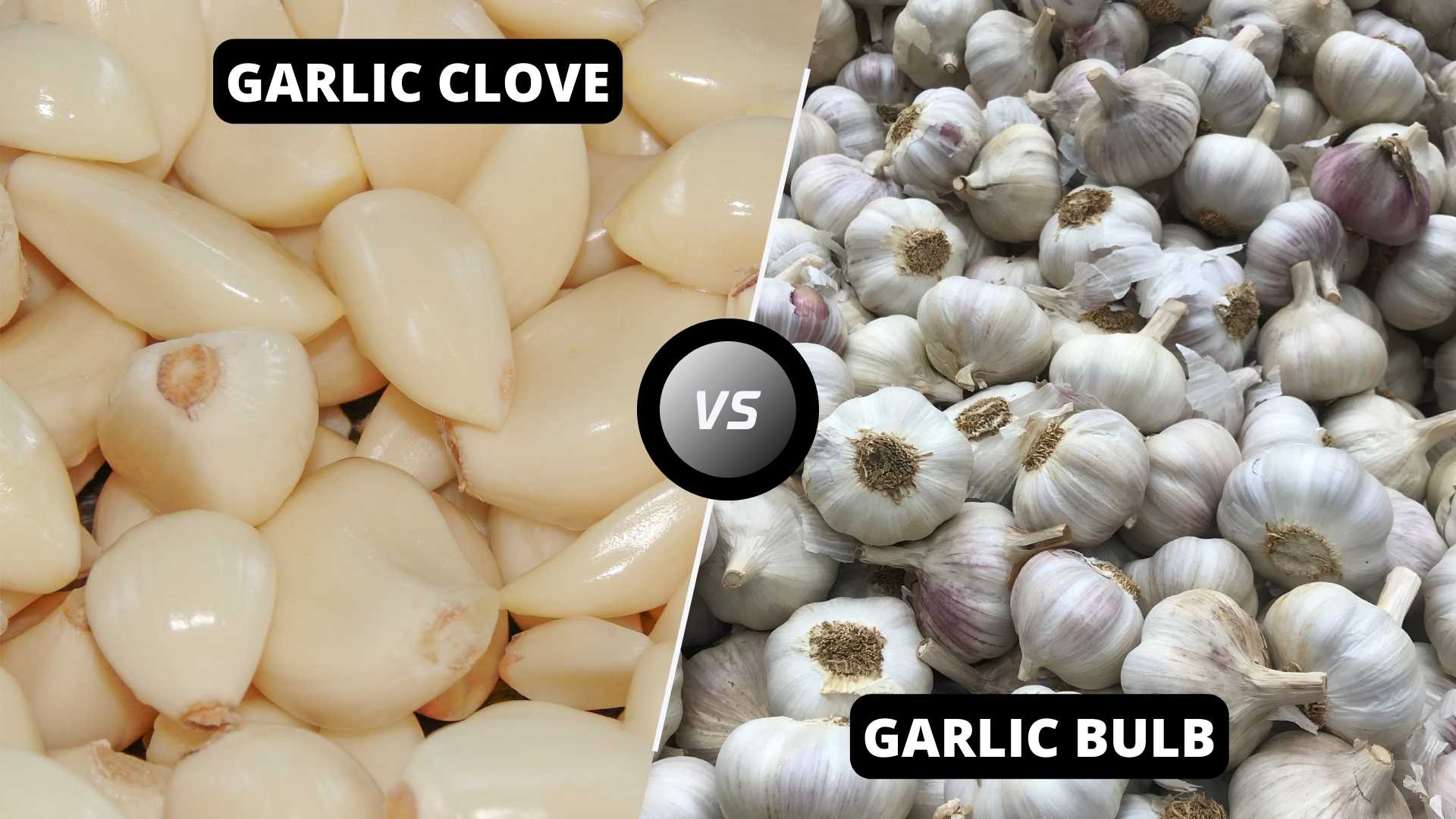 Garlic Clove vs Bulb: Exploring the Differences in Flavor and Nutrition