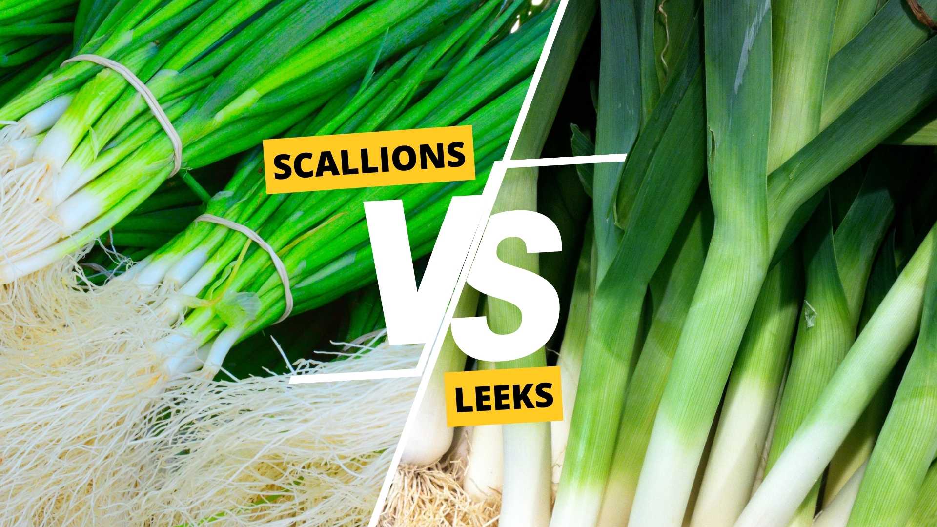 Scallions vs Leeks: Understanding the Differences and How to Use Them