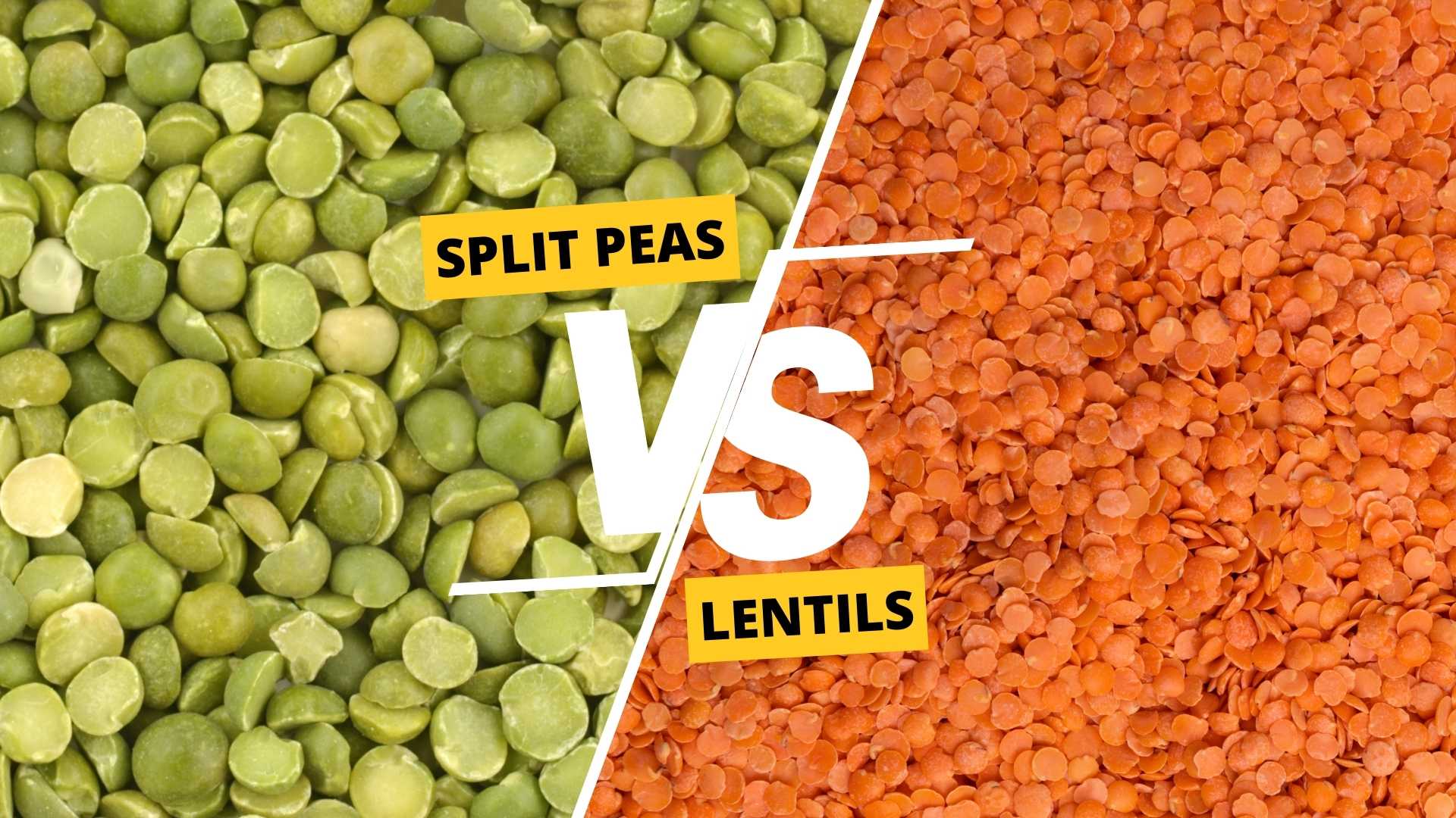 Split Peas vs Lentils in a Head-to-Head Comparison